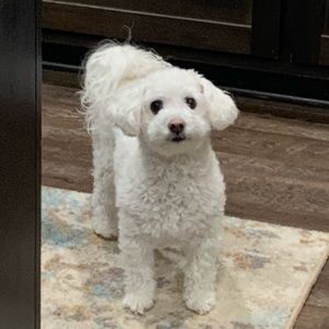 Meet your Posher, Jacob